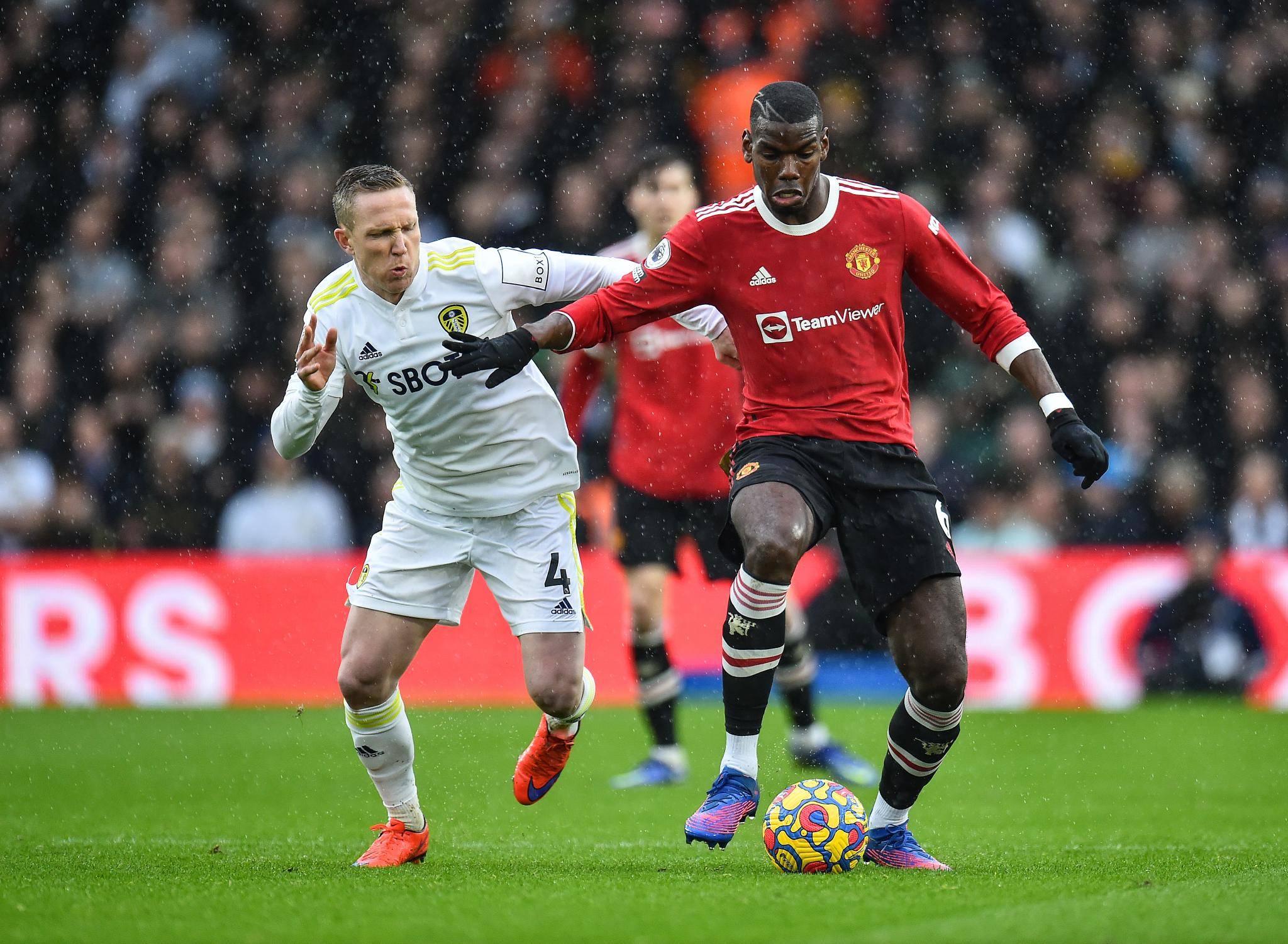 中国男子羽 中国男子羽